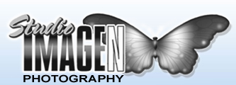 Art, Craft, and Scrapbooking Supplies